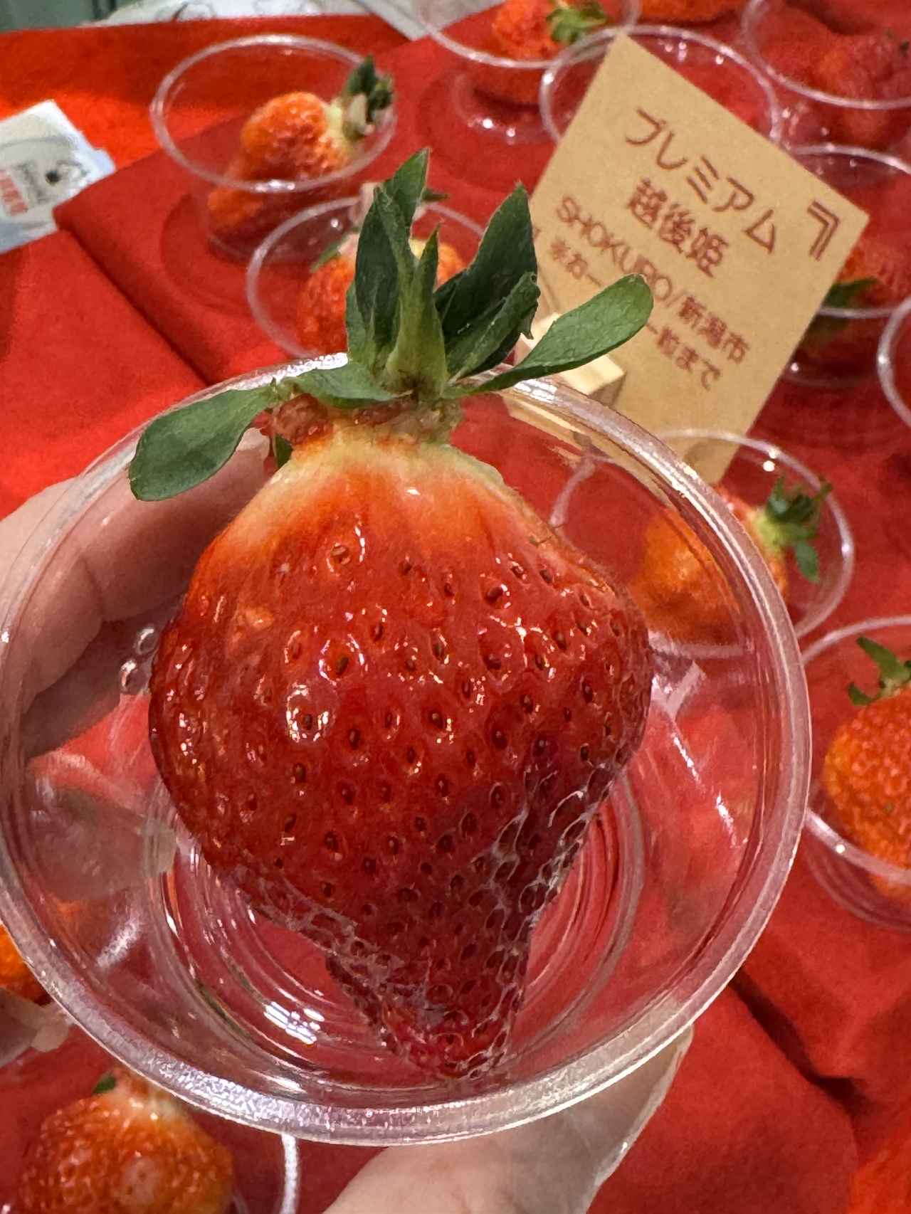 画像3: 銀座で“幻のいちご”越後姫を味わい尽くす3日間♡「2026 越後姫ストロベリーパーク in THE NIIGATA」開催