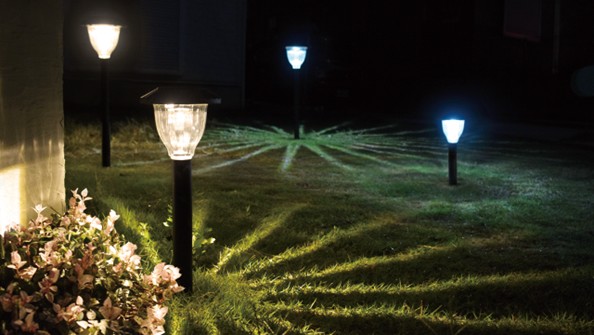 画像3: Temuの口コミが商品開発を加速　クマ避けグッズ誕生へ、園芸用品ECの新戦略