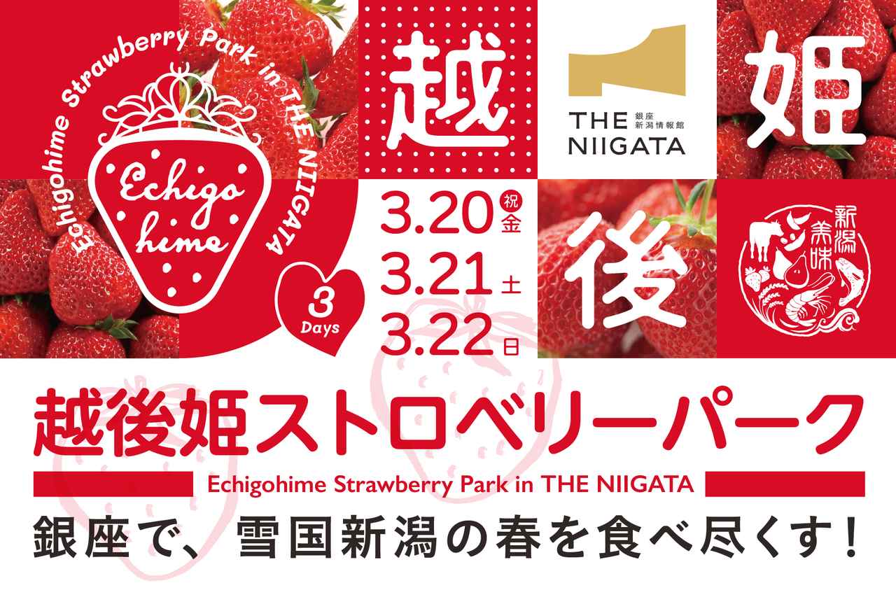 画像: 2026 越後姫ストロベリーパーク in THE NIIGATA | 【公式】銀座・新潟情報館 THE NIIGATA