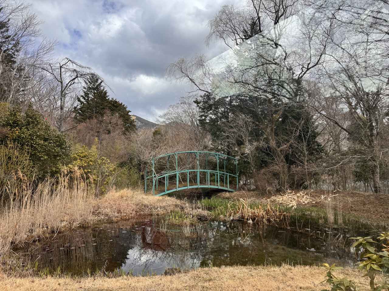 画像10: 時を旅する優雅なティータイム♡豪華サロンカー”オリエント急行”【箱根ラリック美術館】