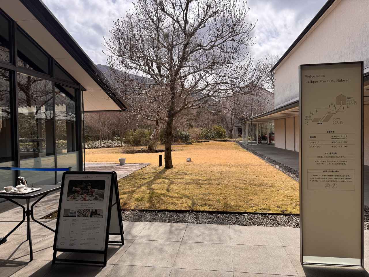 画像: アート、スイーツ、そして旅。三つの余韻が重なる春の箱根へ