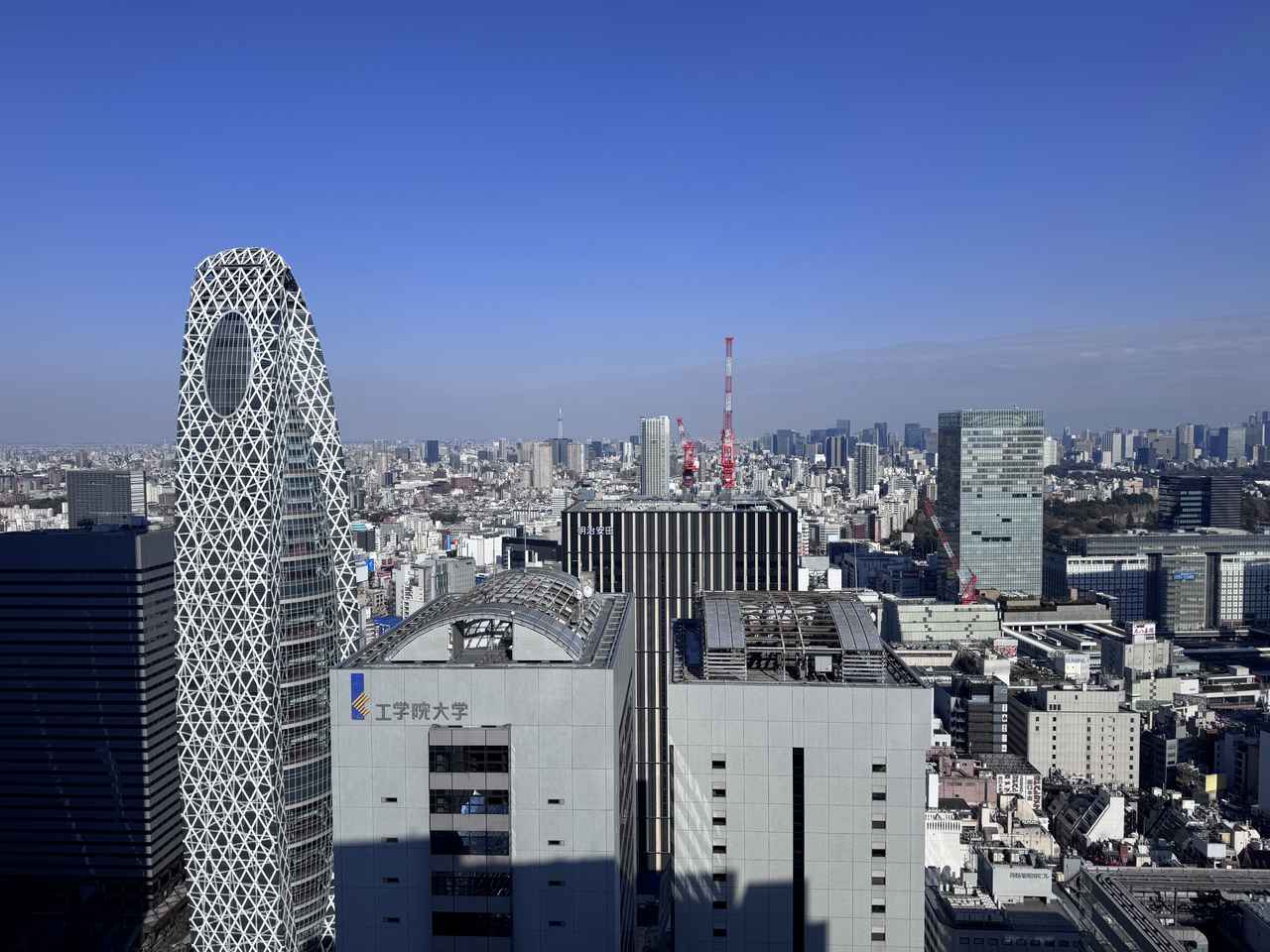 画像1: 地上160mの絶景とともに楽しむ、優雅なティータイム