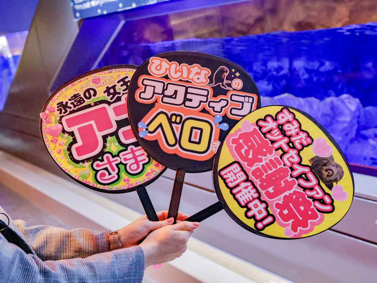 画像1: オットセイ推し活を楽しむ春に