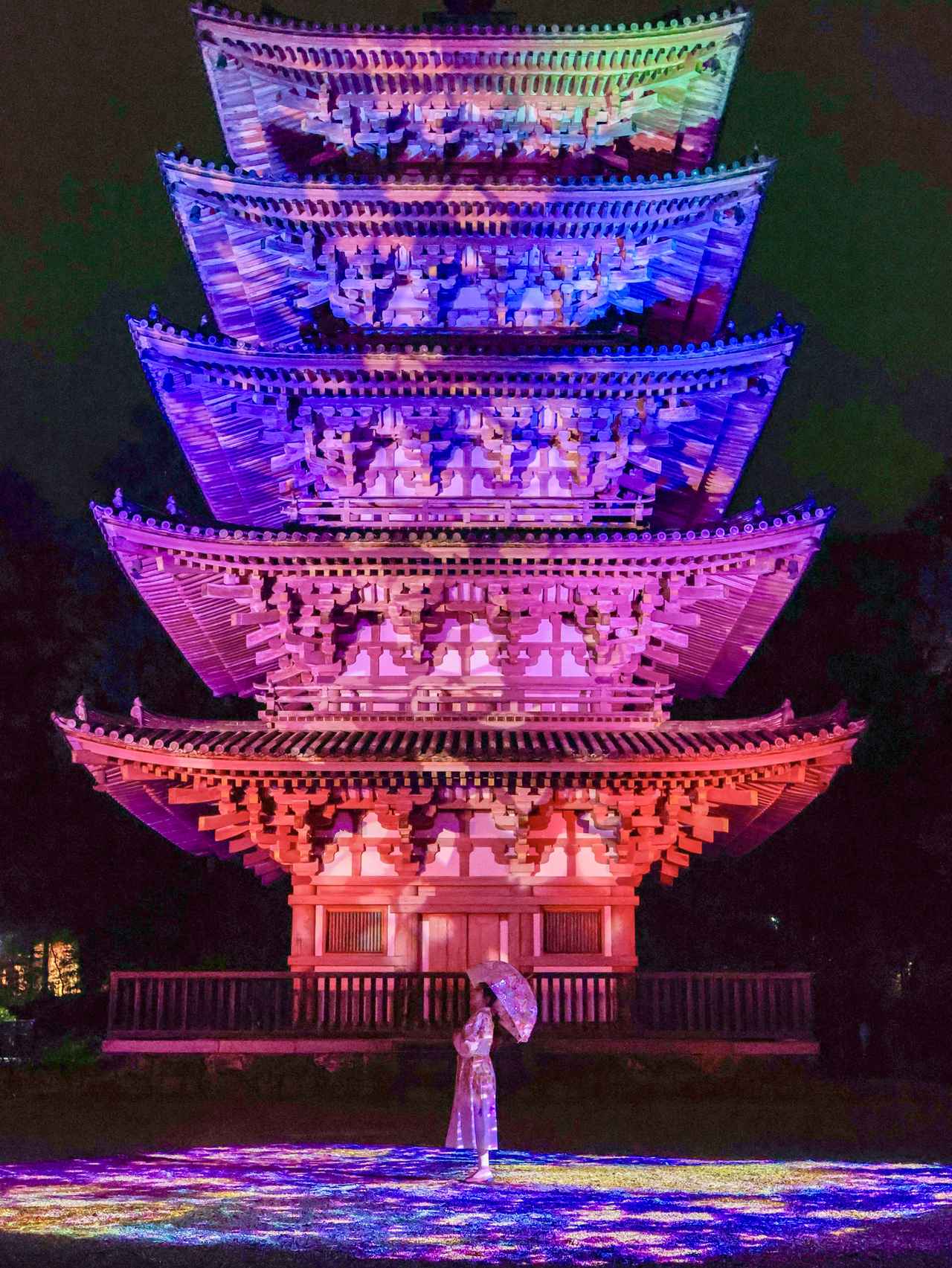 画像2: 歴史ある花見文化を、現代の感覚で楽しむ夜