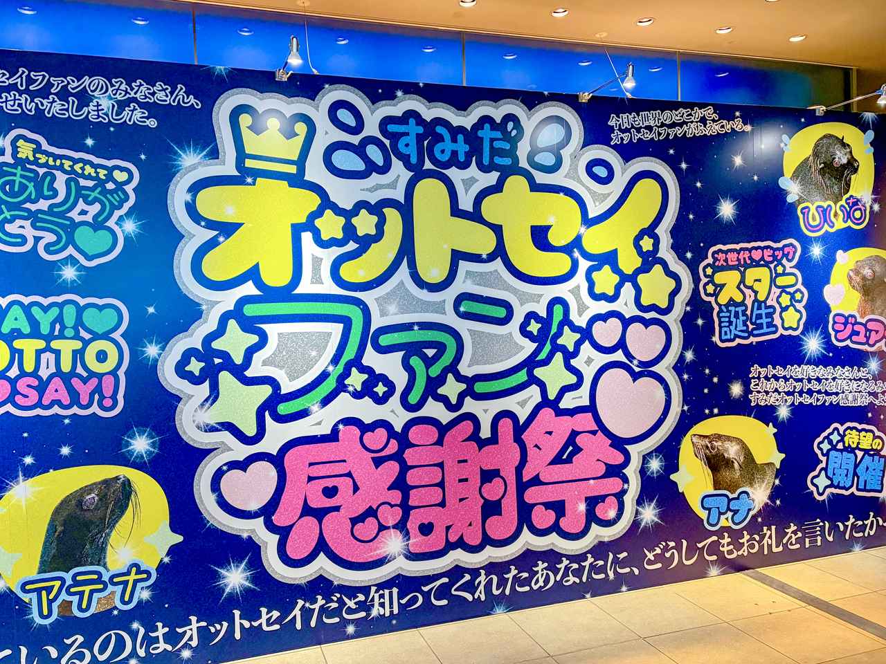 画像3: オットセイ推し活を楽しむ春に