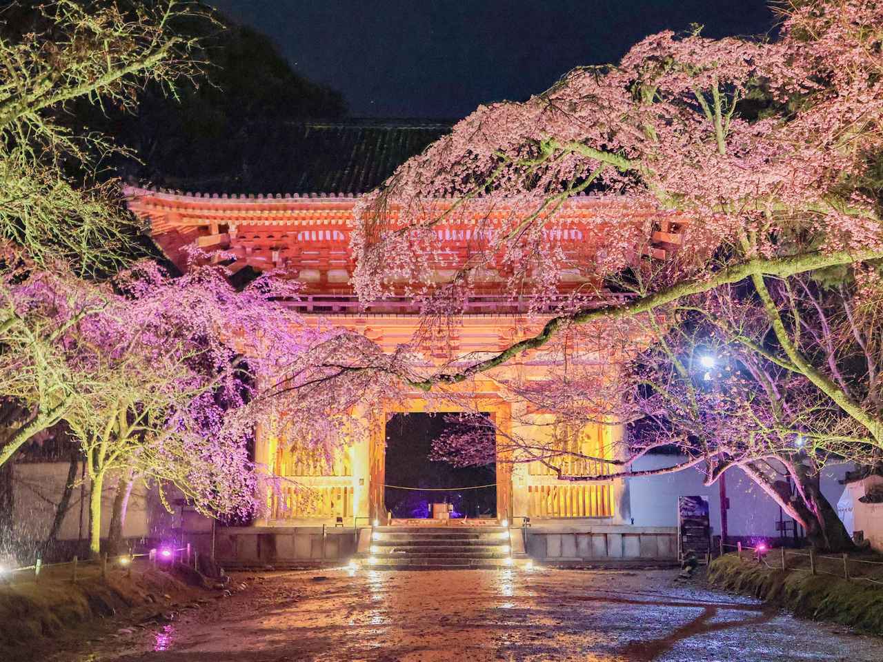 画像: 春灯の仁王門