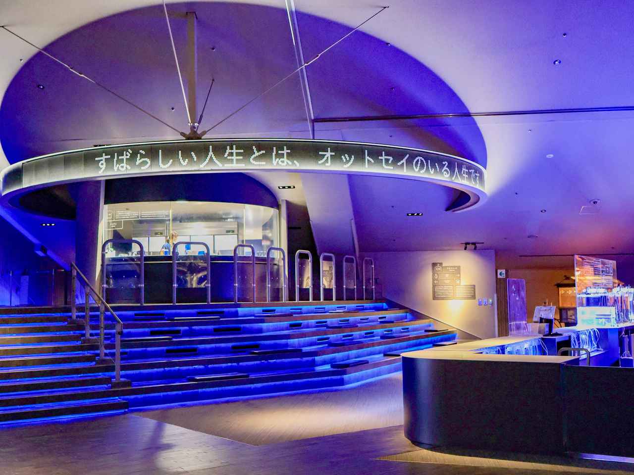 画像2: オットセイ推し活を楽しむ春に