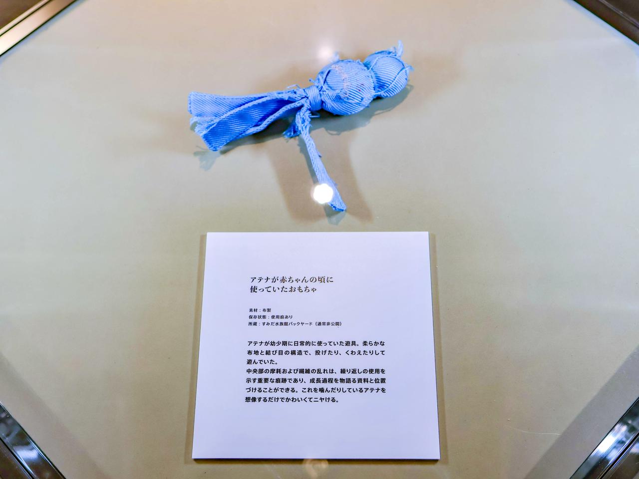 画像4: もっとオットセイが好きになる!SNS投稿や調査結果も展示