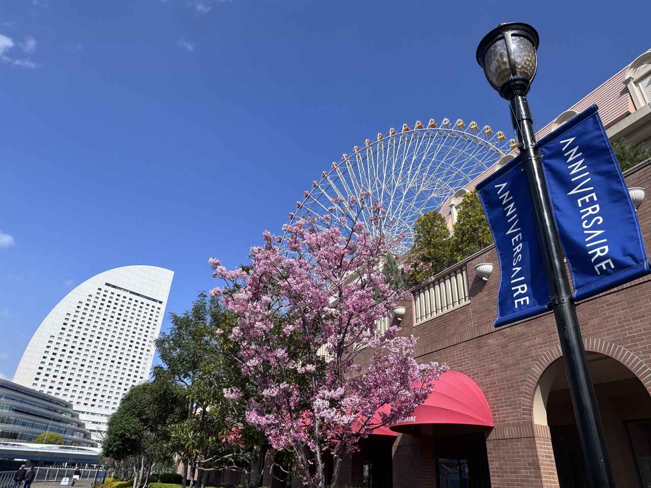 画像2: 水辺に咲く“桜のきらめき”を体験して