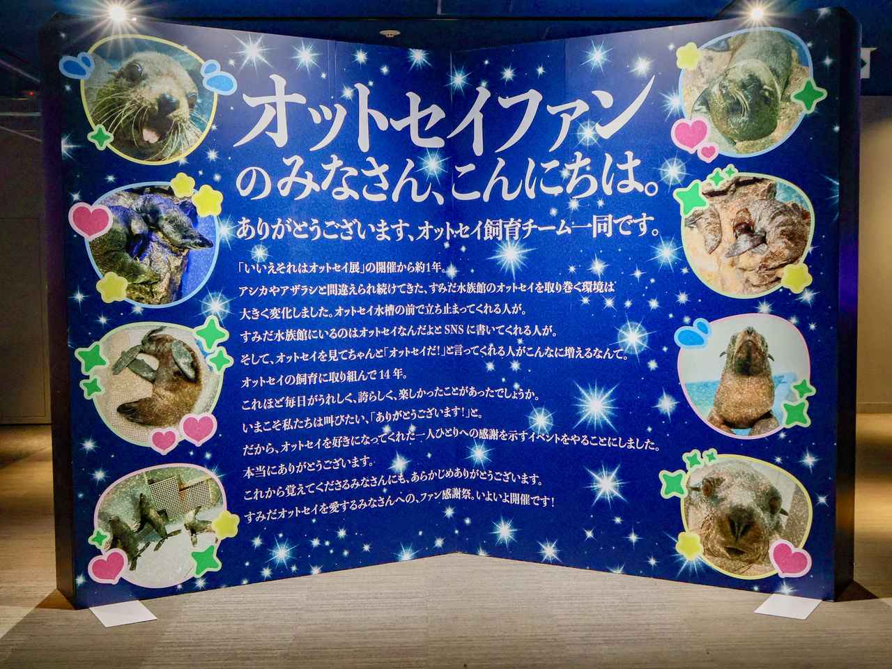 画像1: オットセイファンへ贈る、春の特別イベント