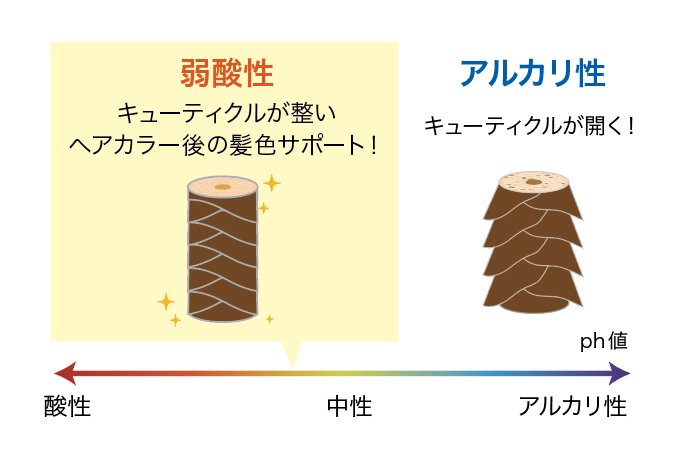 画像1: ①【退色抑制】 pHコントロール発想の弱酸性仕上げ