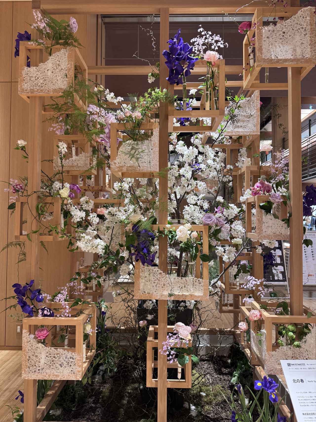 画像3: コアントローが奏でる“オレンジの旋律”♡東京ミッドタウンに12の花楽章が咲き誇るフラワーアートが登場