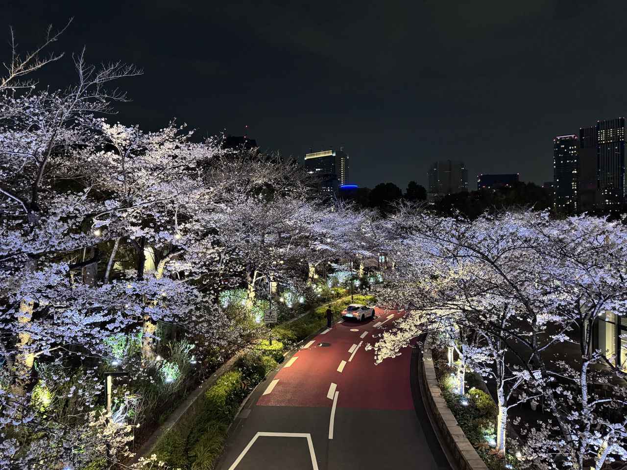 画像1: 春のミッドタウンで、オレンジの香りに満ちたアート散歩を