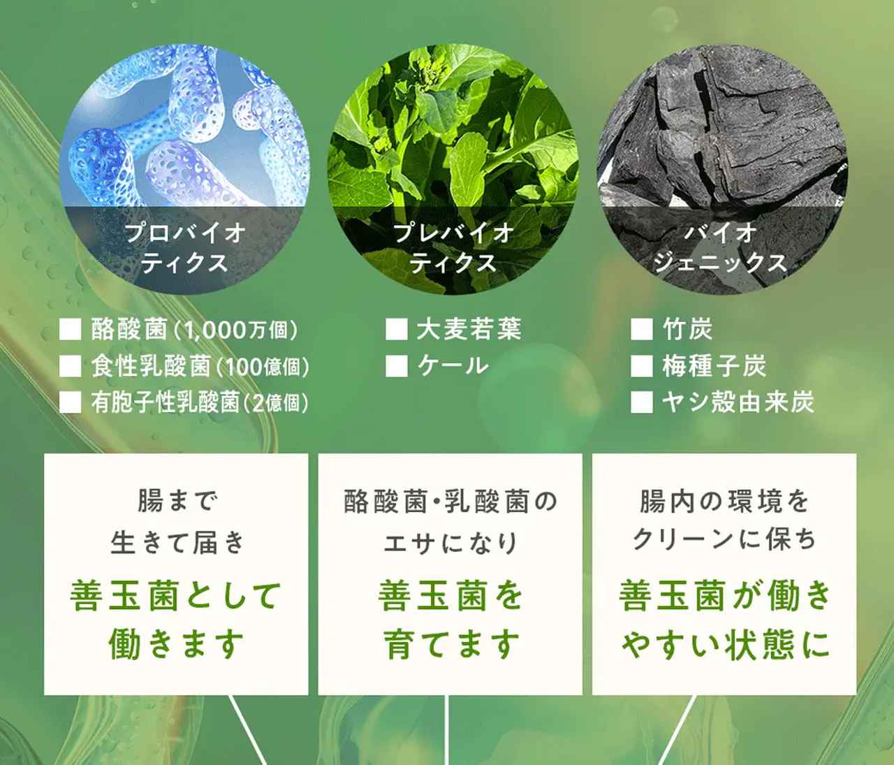 画像1: 1杯に凝縮された「増やし・育てて・活かす」黄金バランス