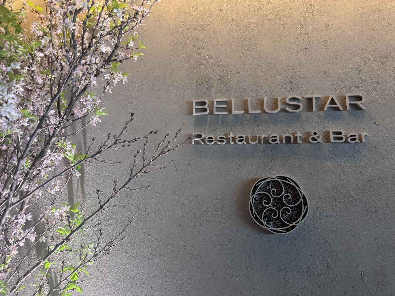 画像7: 旬の果実と野菜が彩る1日20食限定♡ベルスター東京45階で楽しむ春色の“SAKURAアフタヌーンティー”