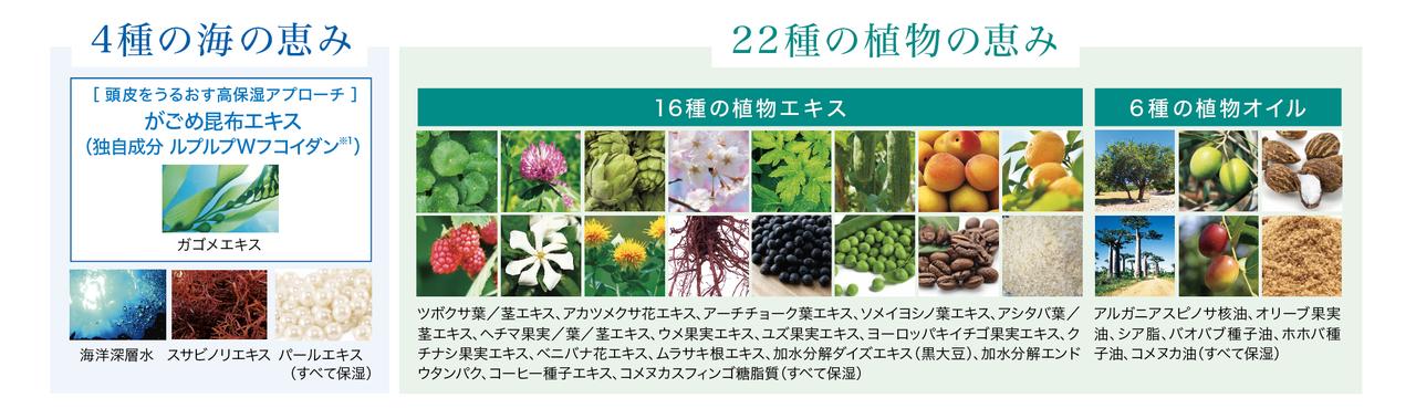 画像: *¹ ガゴメエキス（保湿）