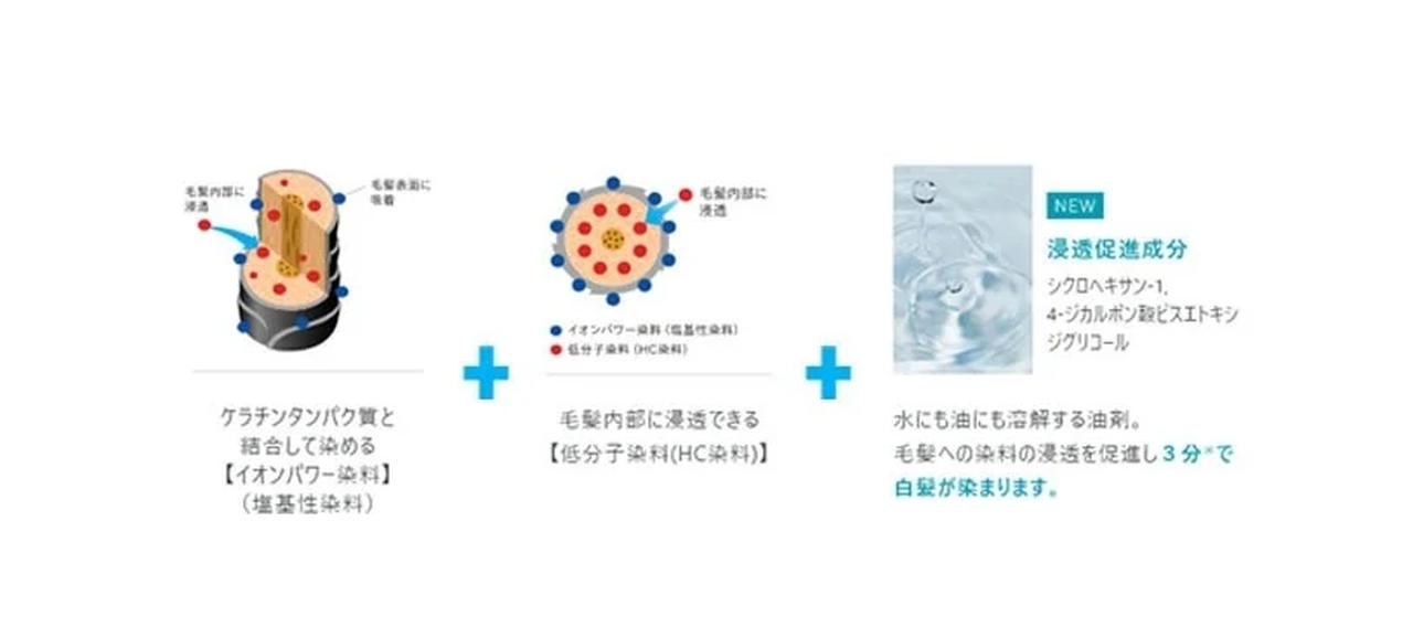 画像: ①3分で白髪を染め上げる「染毛力」