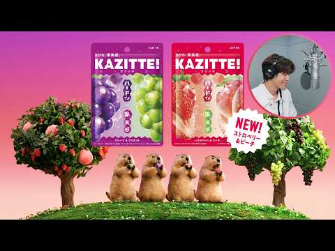 画像: ロッテ カジッテ WEB動画 「正解発表」篇 www.youtube.com