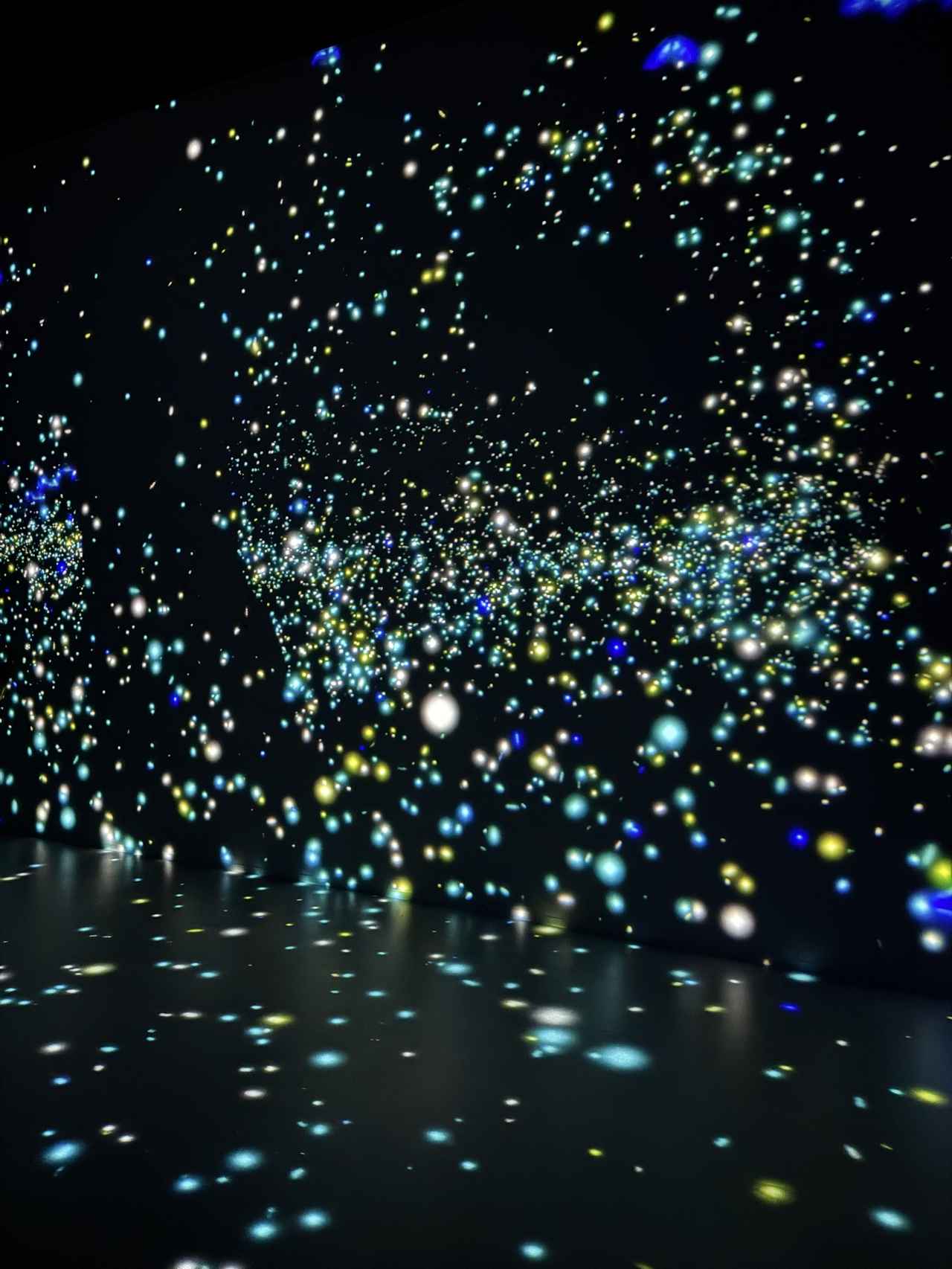 画像7: いつもの横浜が“ワンダー”に♡没入型体験施設「ワンダリア横浜 Supported by Umios」3月19日開業