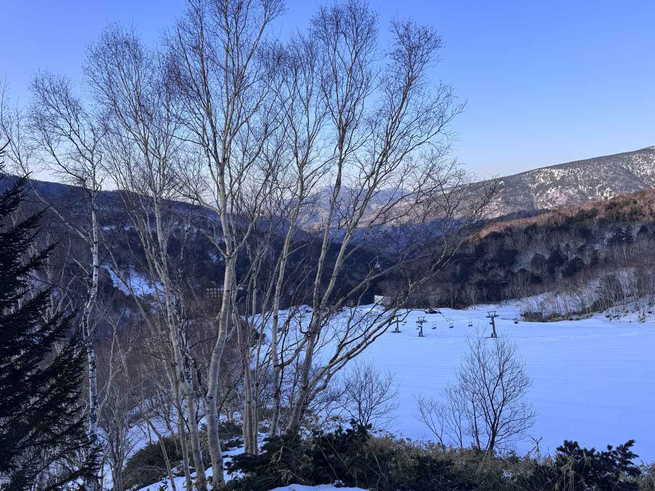 画像25: 「避粉地」天空の温泉で春のリトリート♡標高1,800m、花粉ストレスから解放される“白い春”へ