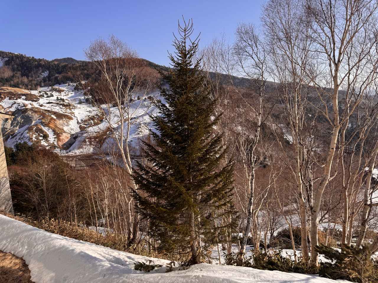 画像2: 部屋からの眺め