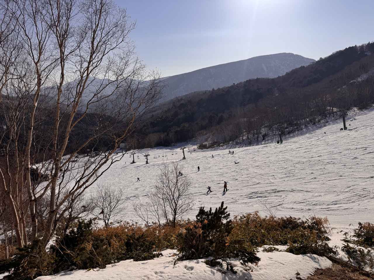 画像1: 部屋からの眺め