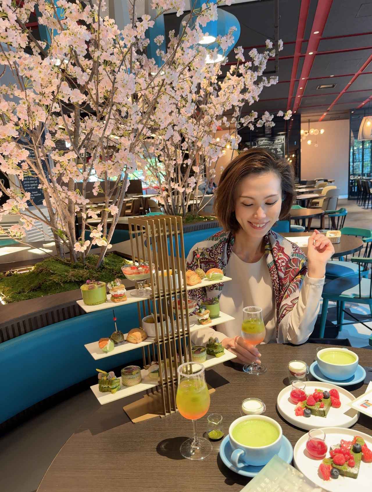 画像: 桜に囲まれてお花見気分を味わえます