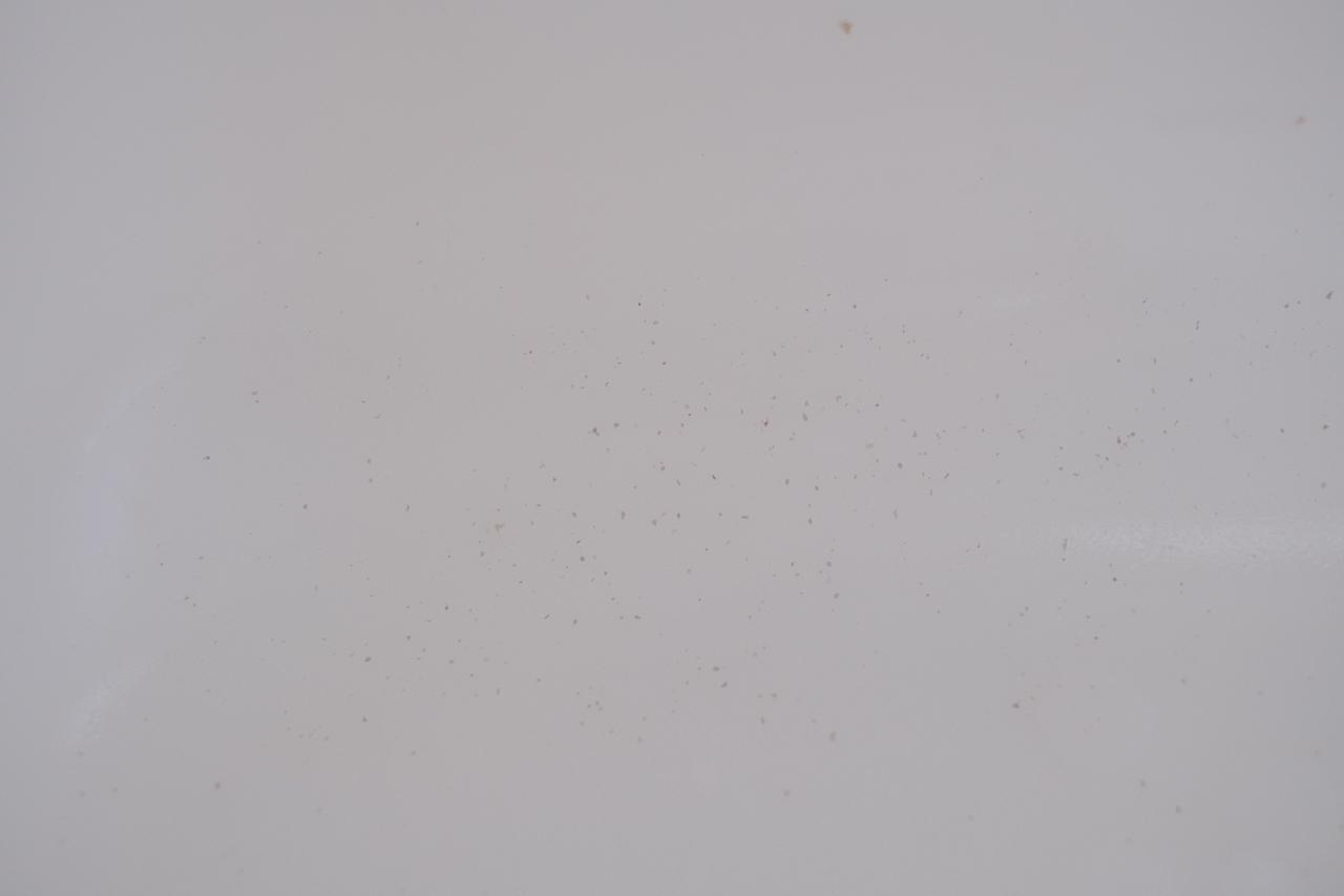 画像15: 実際にお試しさせていただきました！