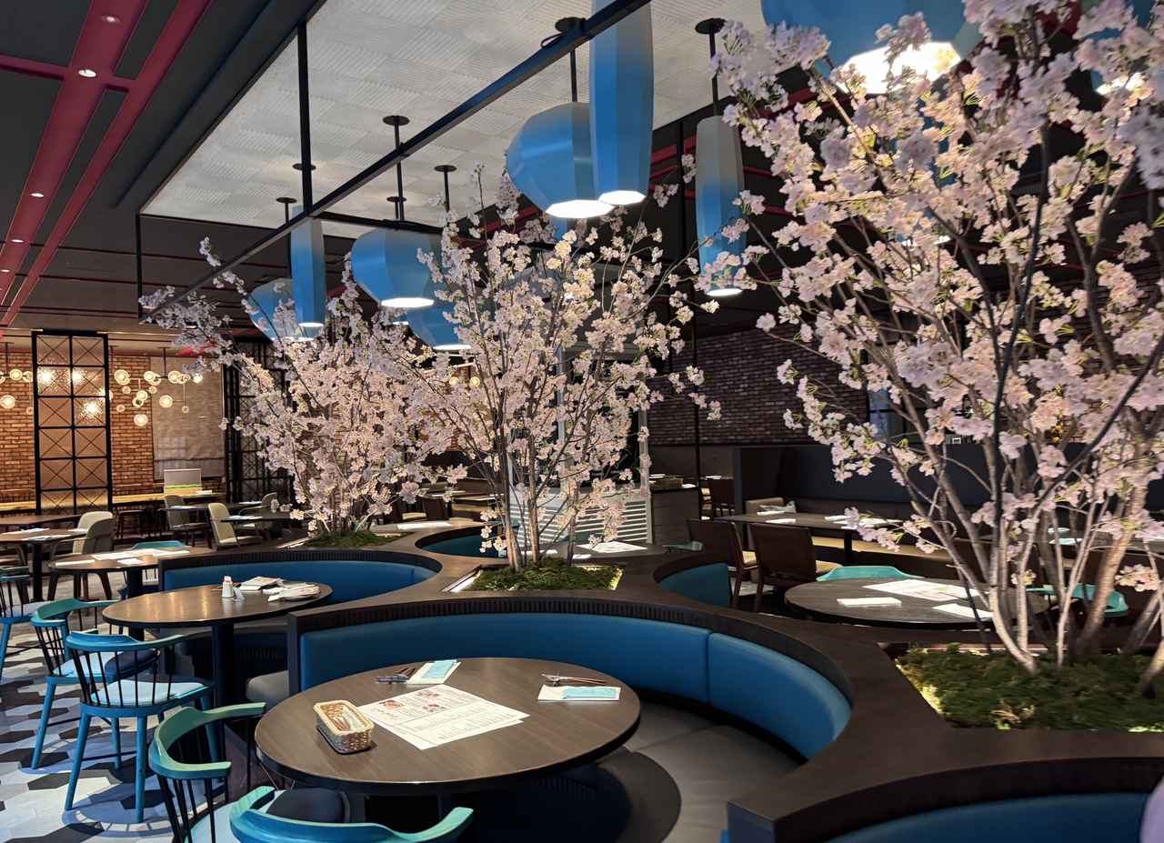 画像: 春の光に包まれた癒し空間で、抹茶の余韻に浸るひととき