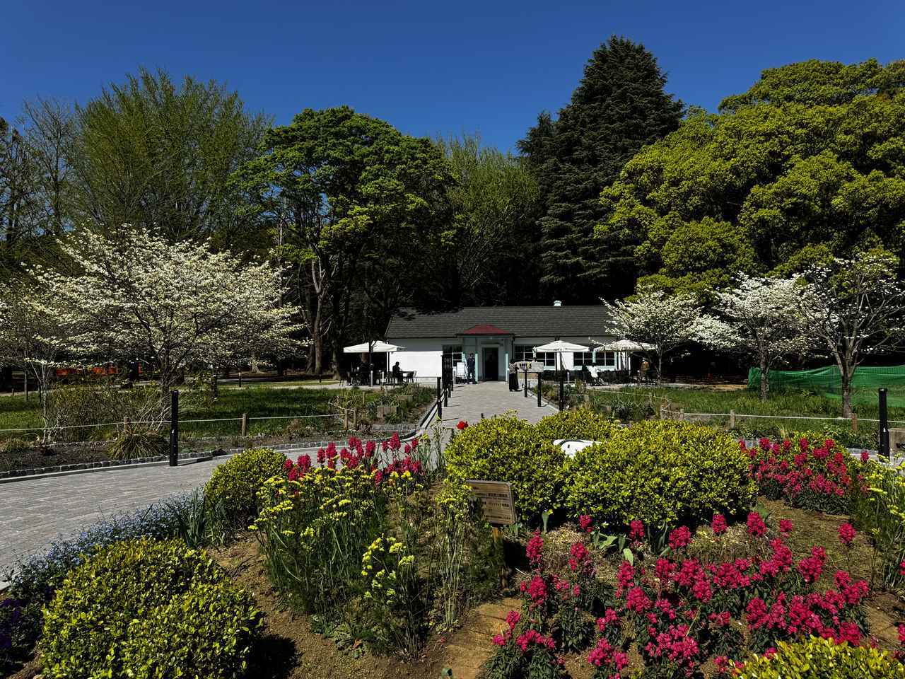 画像15: 代々木公園にグランドオープン♡緑と歴史に包まれるひととき「ドトール パークカフェ YOYOGI」