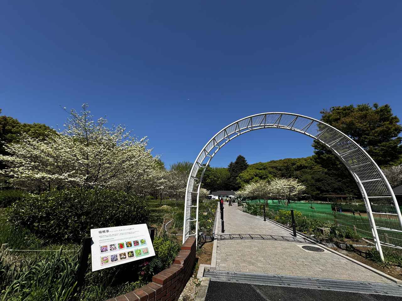 画像17: 代々木公園にグランドオープン♡緑と歴史に包まれるひととき「ドトール パークカフェ YOYOGI」