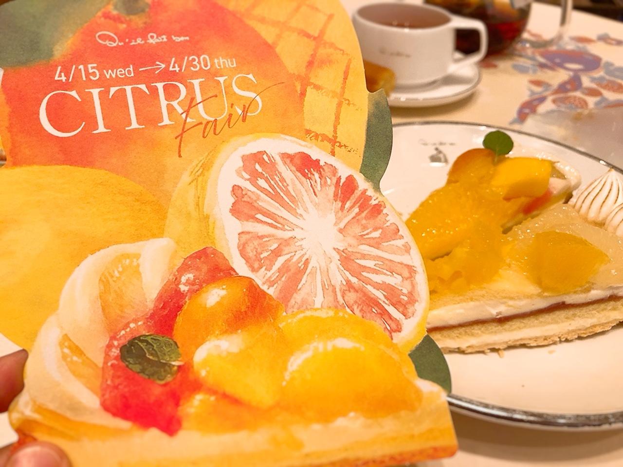 画像: 目にも爽やか!「CITRUSフェア」