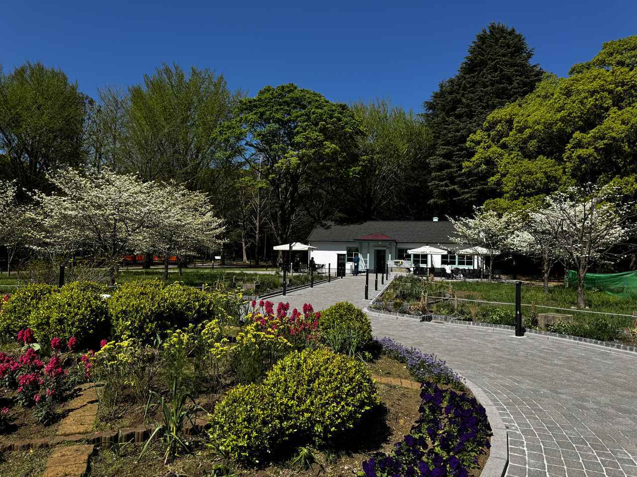 画像14: 代々木公園にグランドオープン♡緑と歴史に包まれるひととき「ドトール パークカフェ YOYOGI」