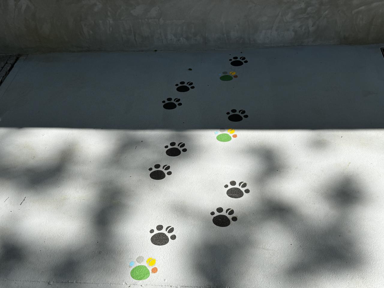 画像11: 代々木公園にグランドオープン♡緑と歴史に包まれるひととき「ドトール パークカフェ YOYOGI」