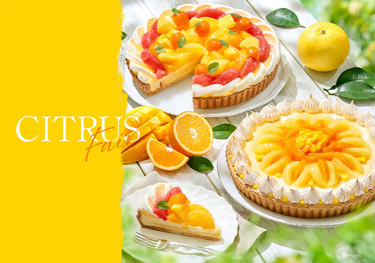 画像: CITRUSフェア | こだわりのタルト、ケーキのお店。 キルフェボン