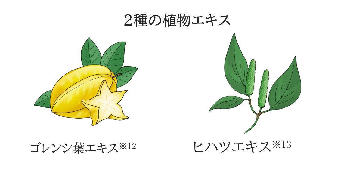 画像6: 毛穴の奥までスッキリ♡大好評の炭酸泡洗顔に“炭＋クレイ”の吸着力をプラスした「ディープクリア」が数量限定で登場