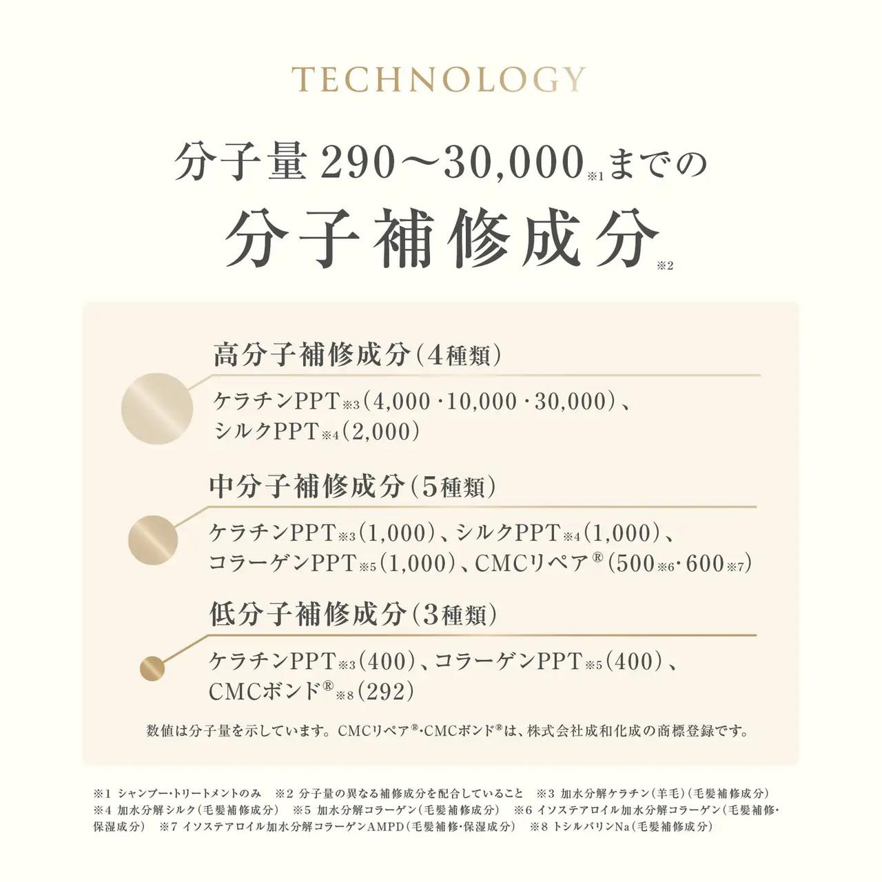 画像2: 髪内部の“ダメージホール”に着目した新発想