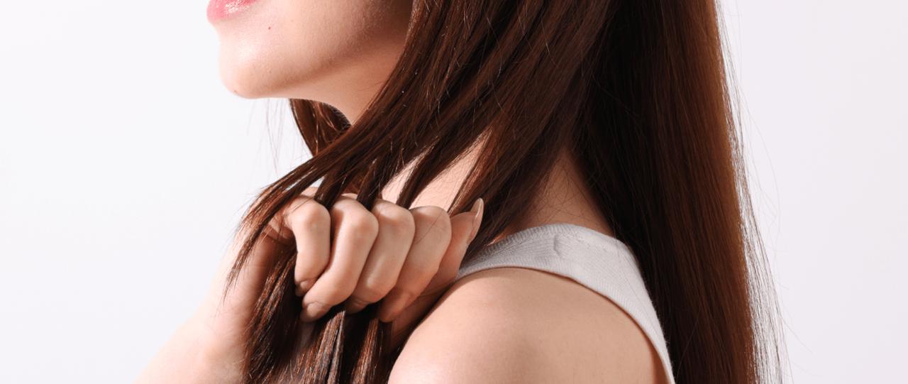 画像1: damagehero.jp