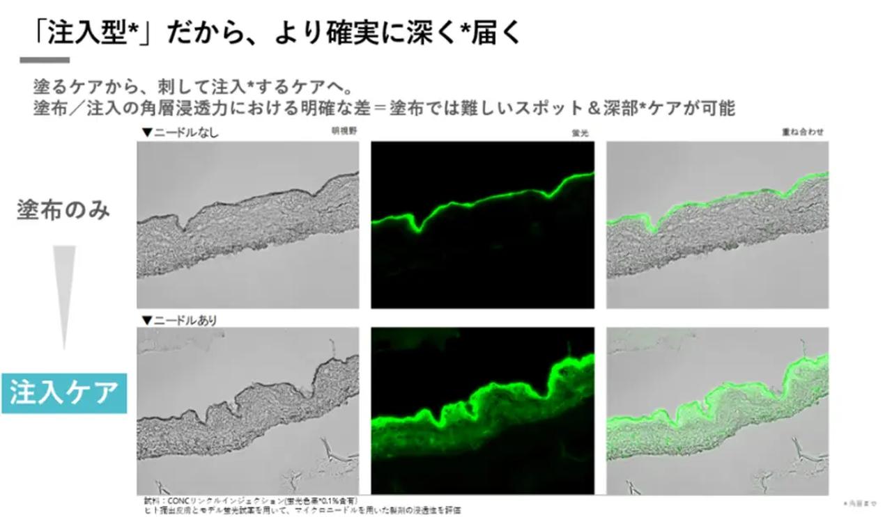 画像: 高濃度ヒアルロン酸と高純度CICAを角層へ届ける