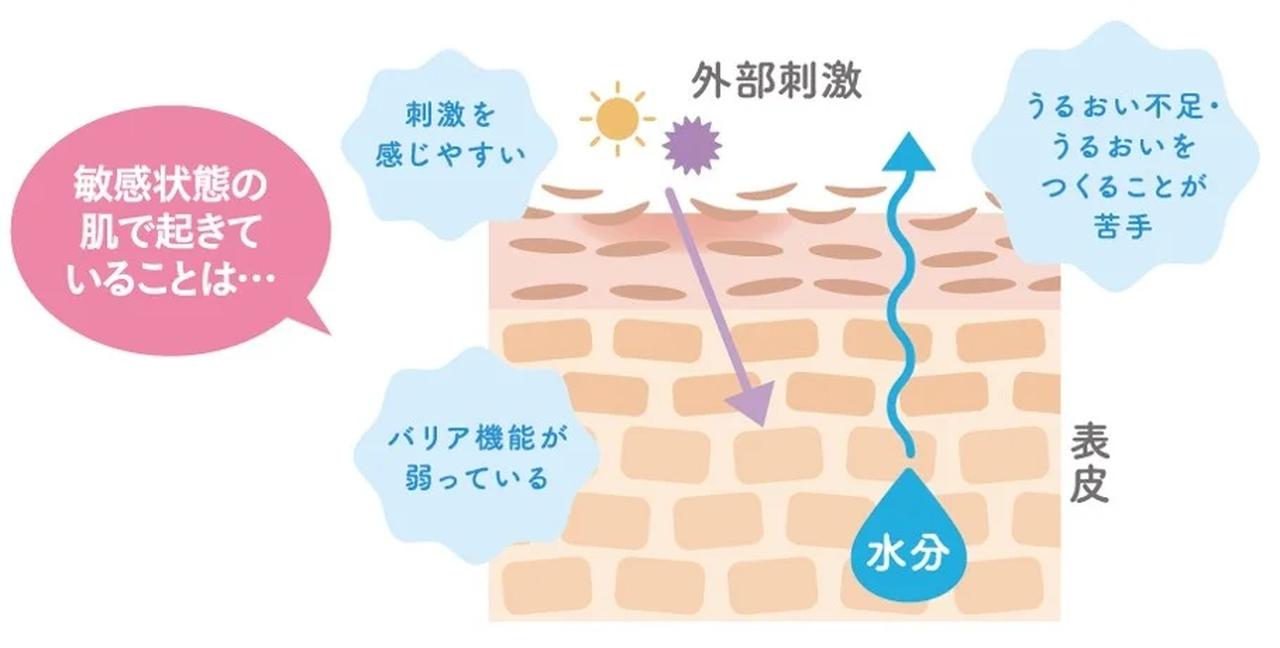 画像1: 親子で育ててきた“やさしさ”をティーンの自立へつなぐ新シリーズ