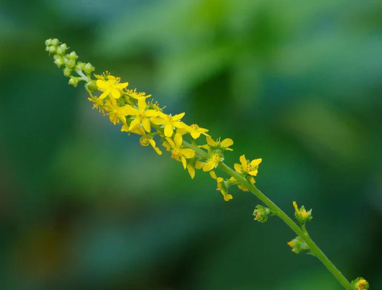 画像2: 毛穴の凹凸も、くすみも。肌表面を均一に整える“レタッチ肌”へ