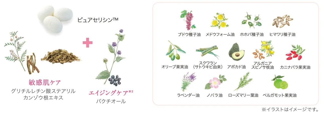 画像1: 繭の恵み「ピュアセリシン™」が叶える敏感肌ケア ✖エイジングケアの両立