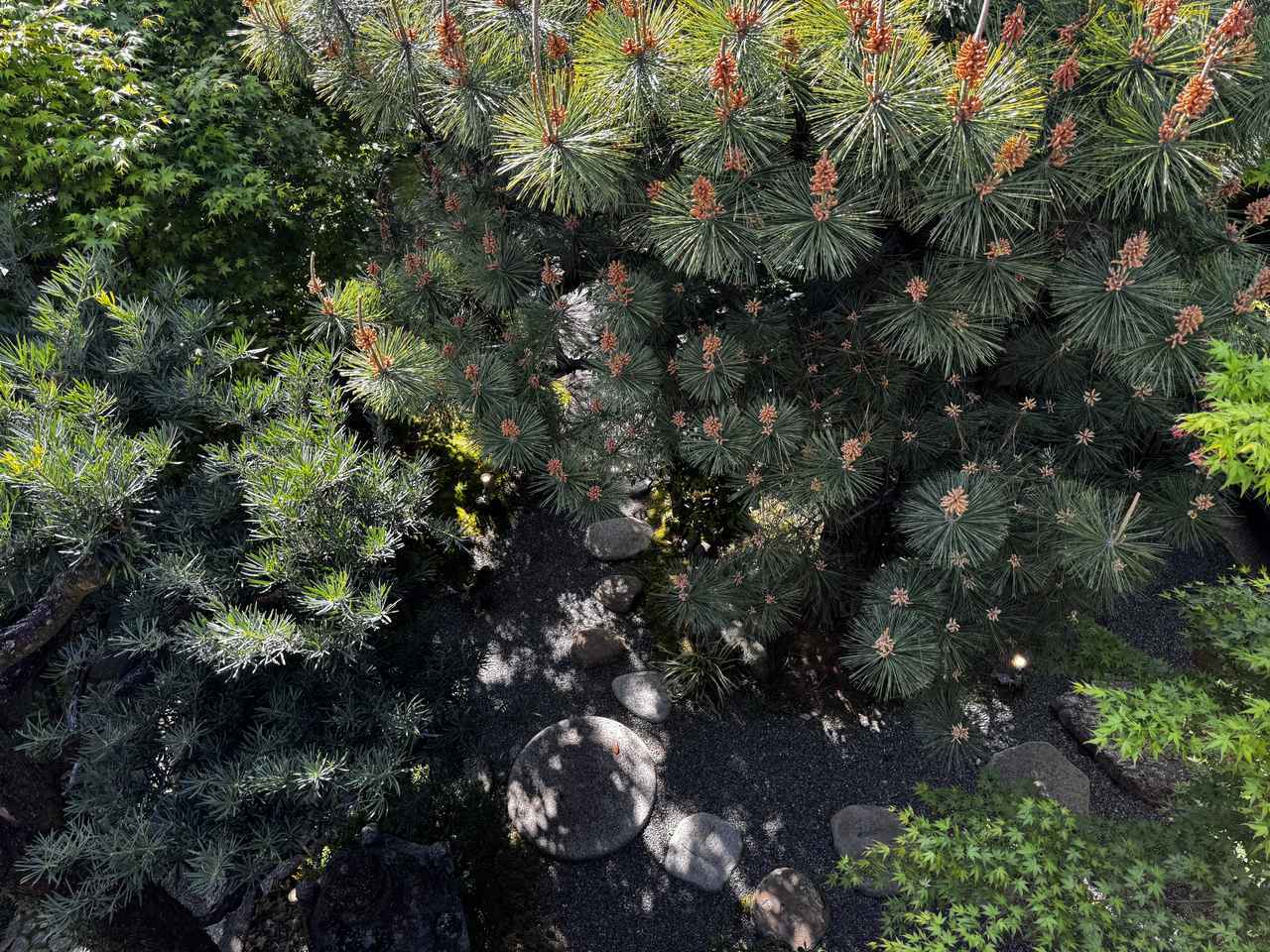 画像20: 千年の美意識が息づく東山♡「THE KISSA」で味わう京都らしい静かな時間