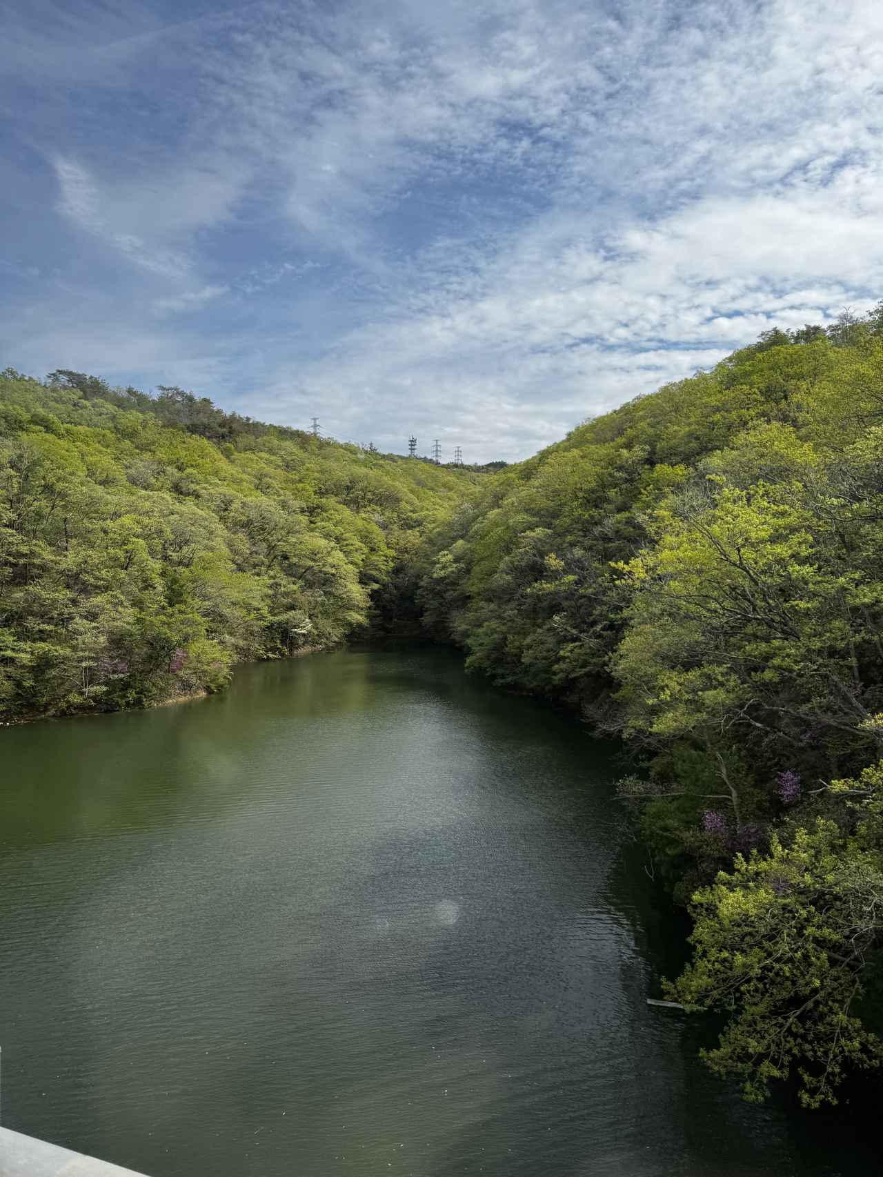 画像1: 大自然の中で深呼吸するような滞在を♡【ネスタリゾート神戸】宿泊レポート
