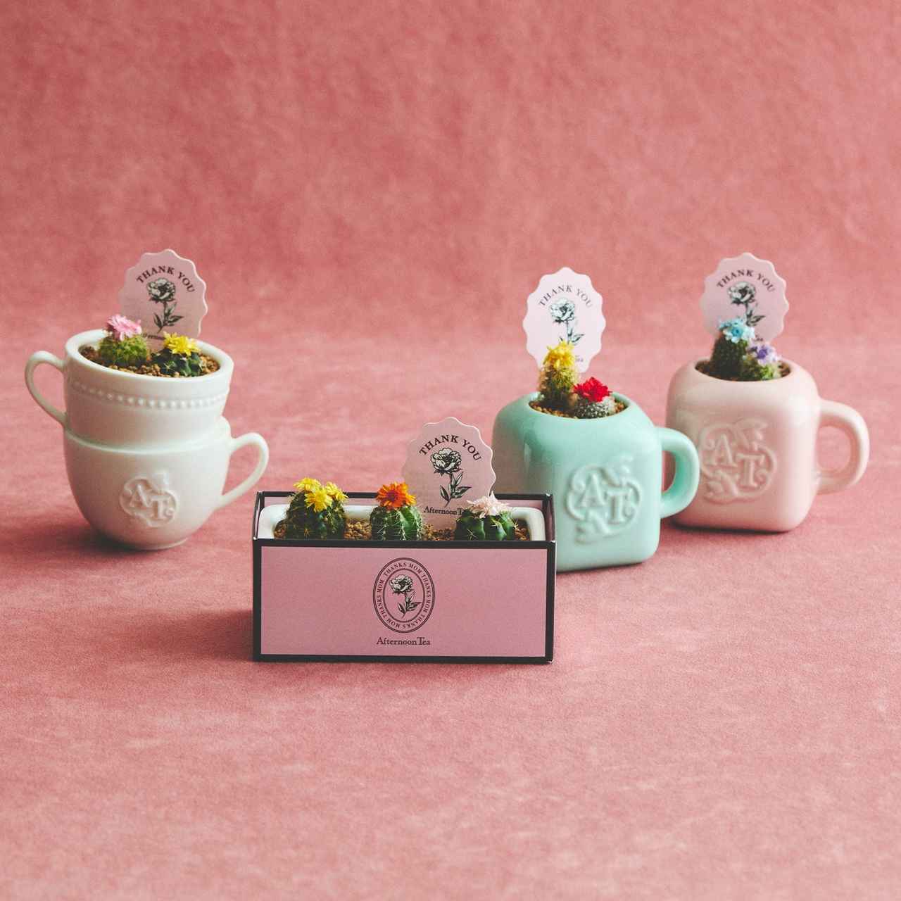 画像4: 母の日ギフト2026特集、人気ブランドが厳選したおすすめ10選