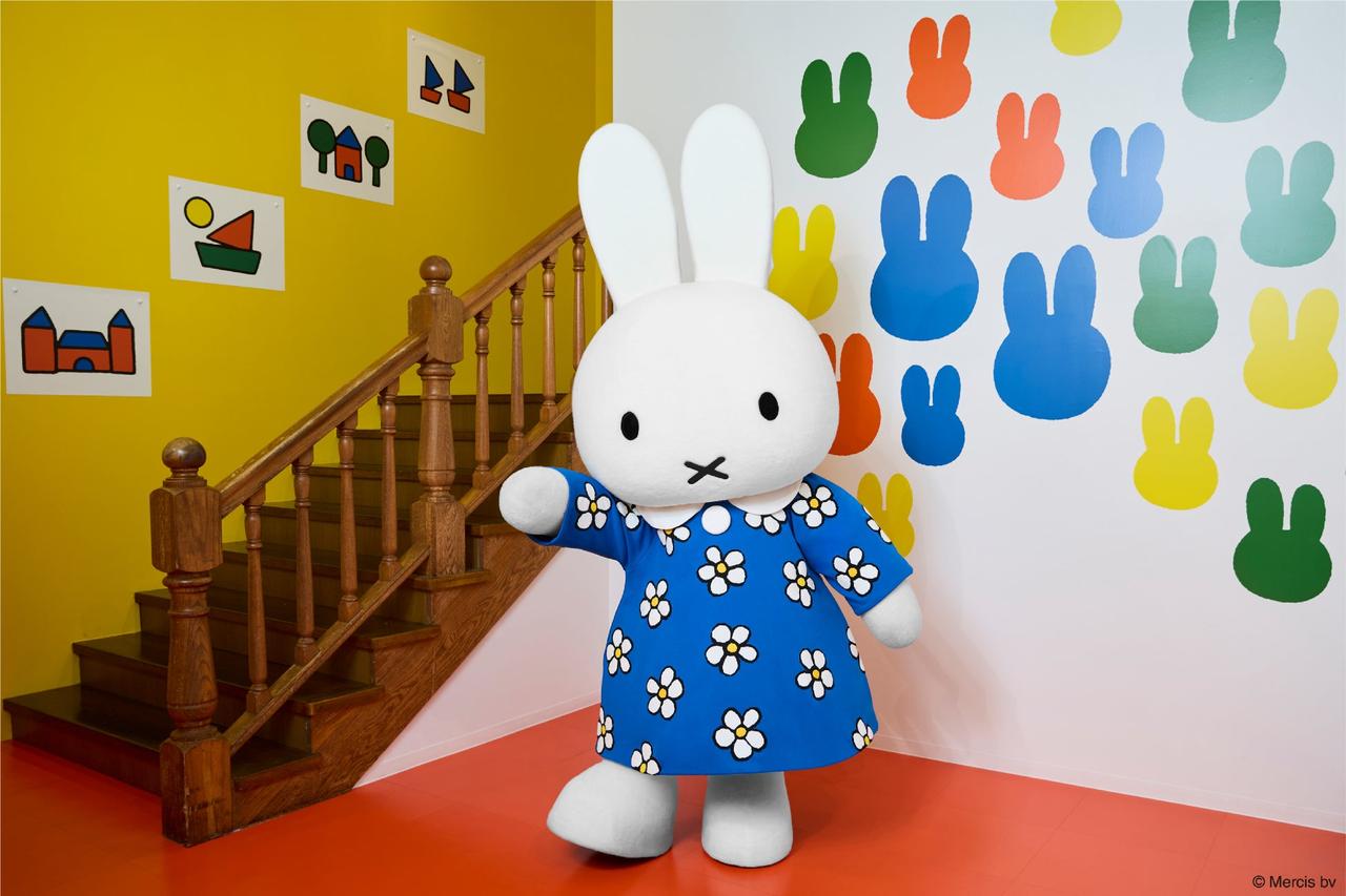 画像: お誕生日ドレスの ミッフィーとの 特別な グリーティング