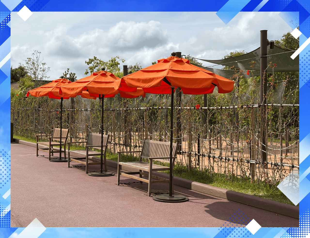 画像: ベンチ＆パラソルも約40％増設