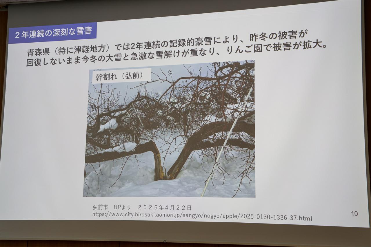 画像1: 1本約3,300円、カゴメが贈る“究極のりんごジュース”「青の森の蜜」誕生。産地の危機を救う「覚悟」のブレンドとは？