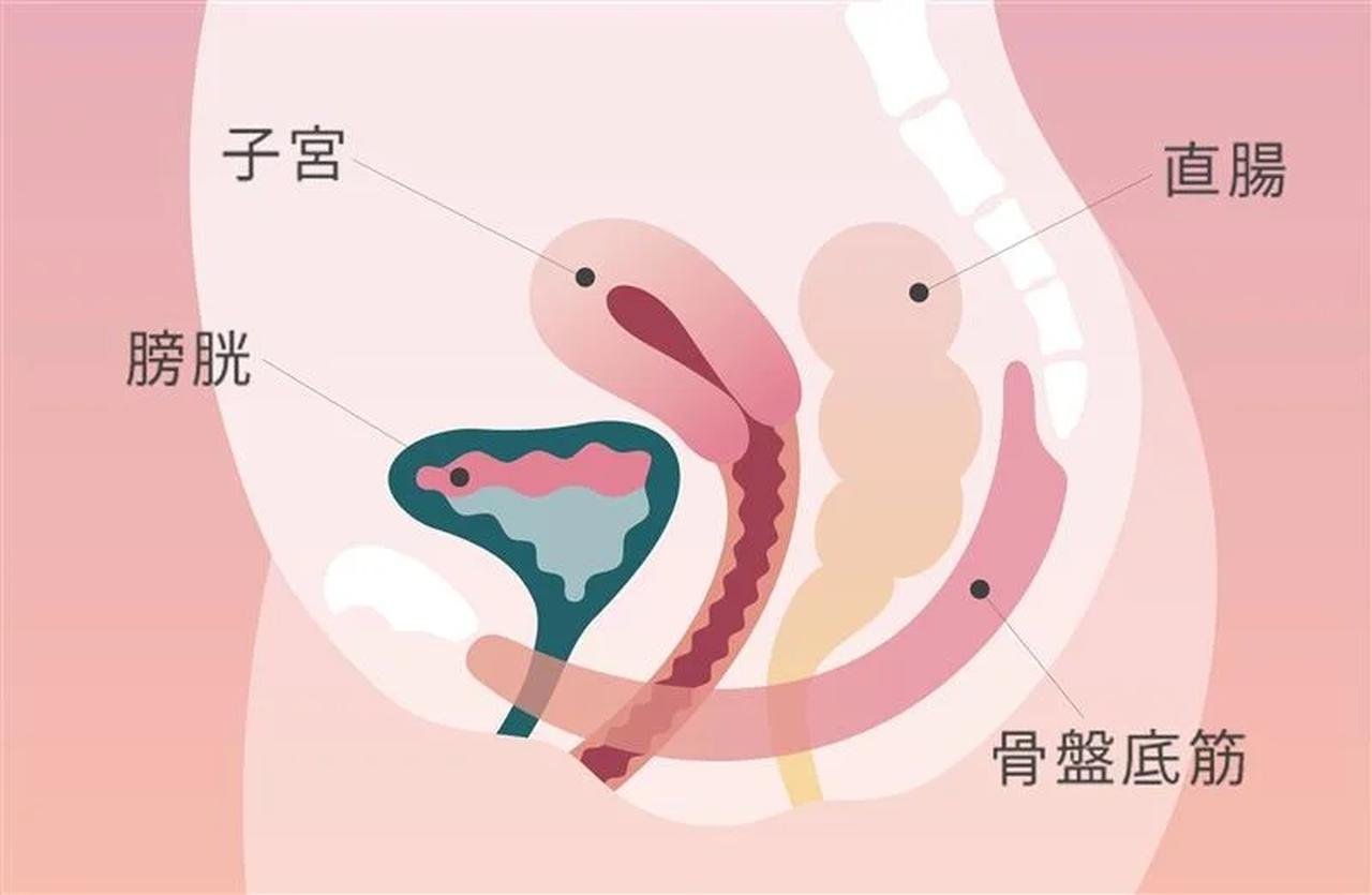 画像2: “はくだけケア”を叶える、やさしいリフトアップ構造