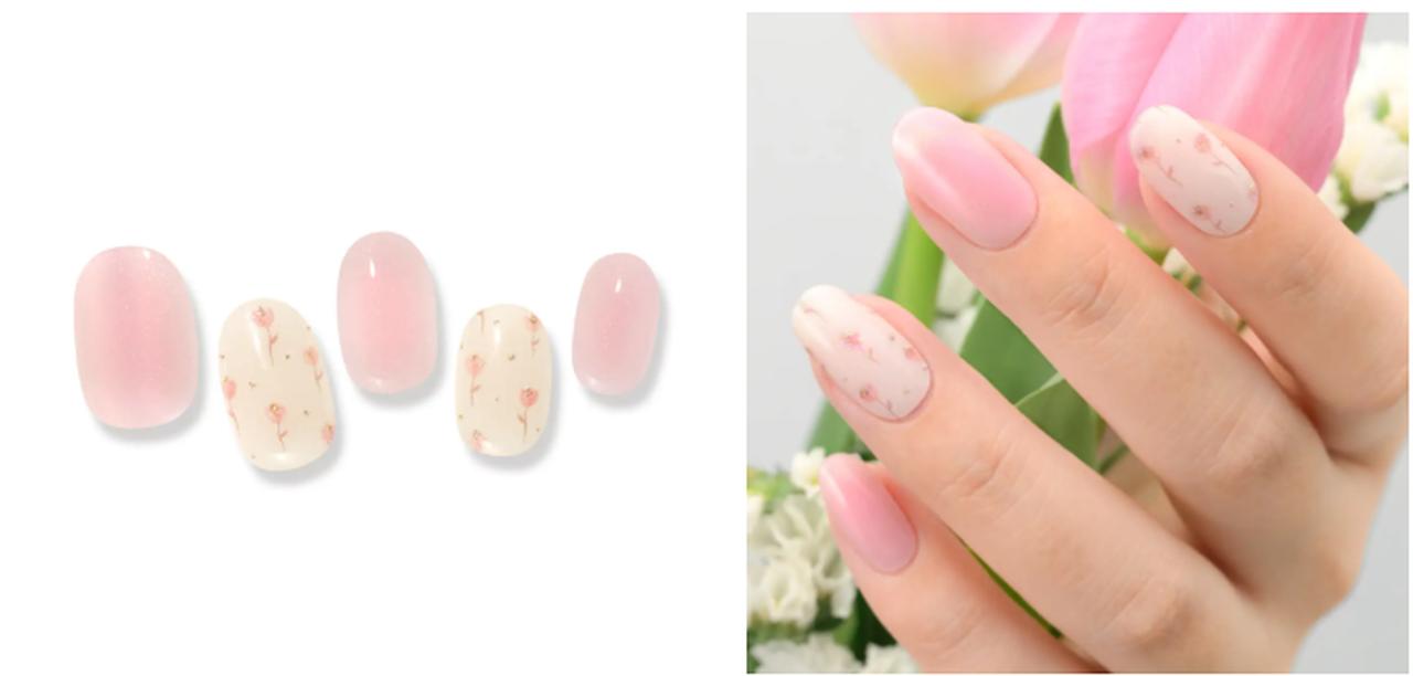 画像: 24.Tulip Reve（チューリップレーヴ）